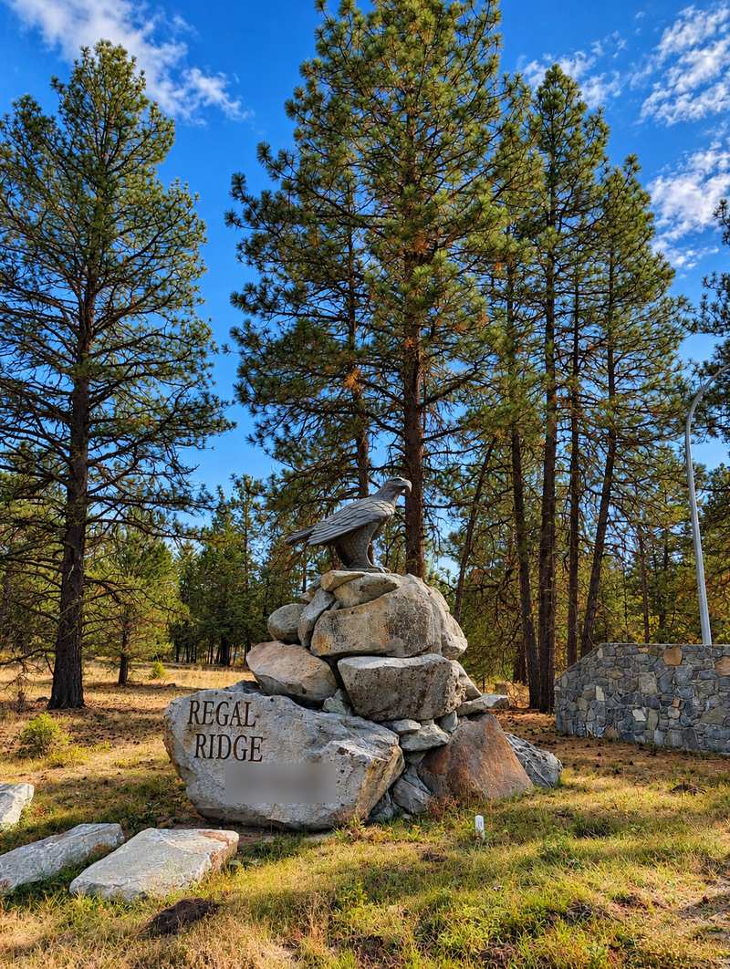 Eagle statue on stacked rocks at the Regal Ridge entrance, Peregrine Dr, Anarchist Mountain